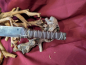 Preview: Messer WG-5000